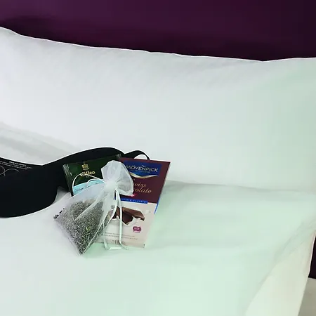 酒店 Moevenpick Frankfurt Messe 美因河畔法兰克福