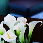 Moevenpick Frankfurt Messe Hotel