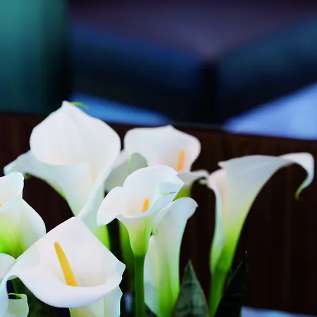 Moevenpick Frankfurt Messe Hotel