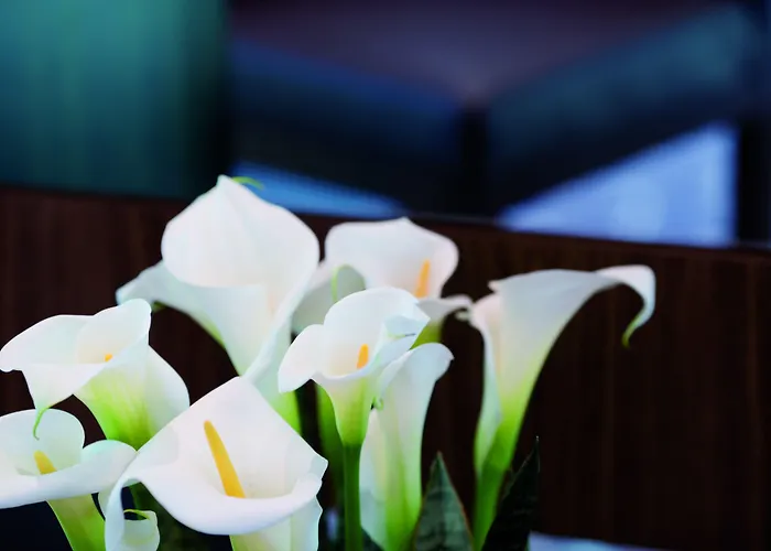 Moevenpick Frankfurt Messe Otel